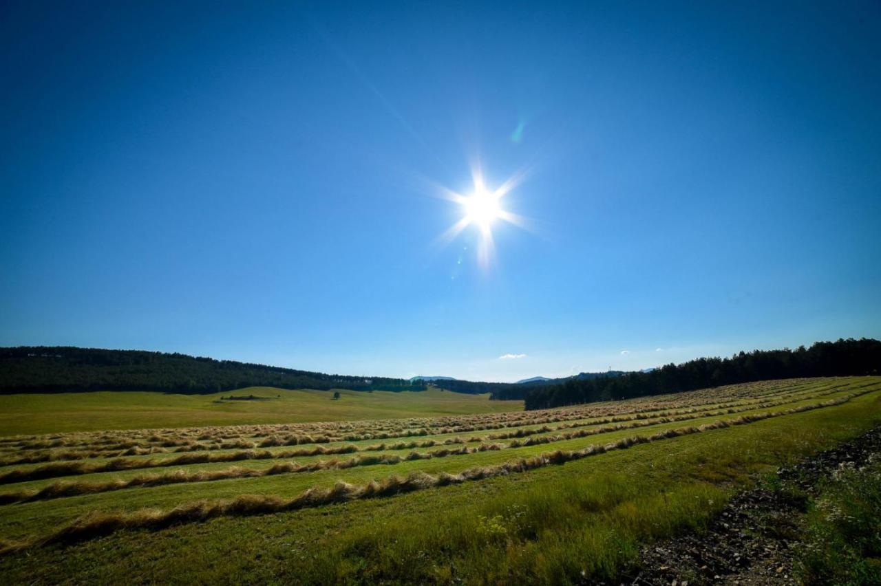 Zlatibor Hills Afrodita & Spa المظهر الخارجي الصورة